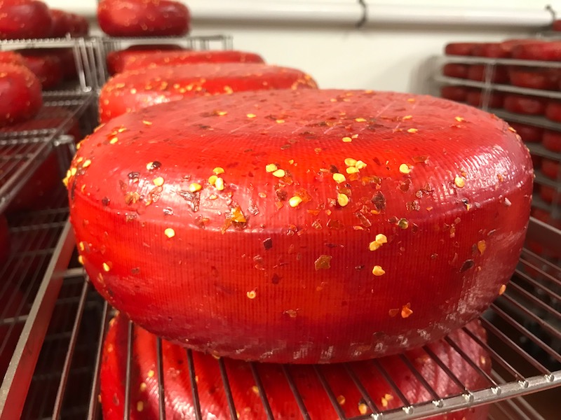 Wisconsin Cheese Renaissance Discover Wisconsin