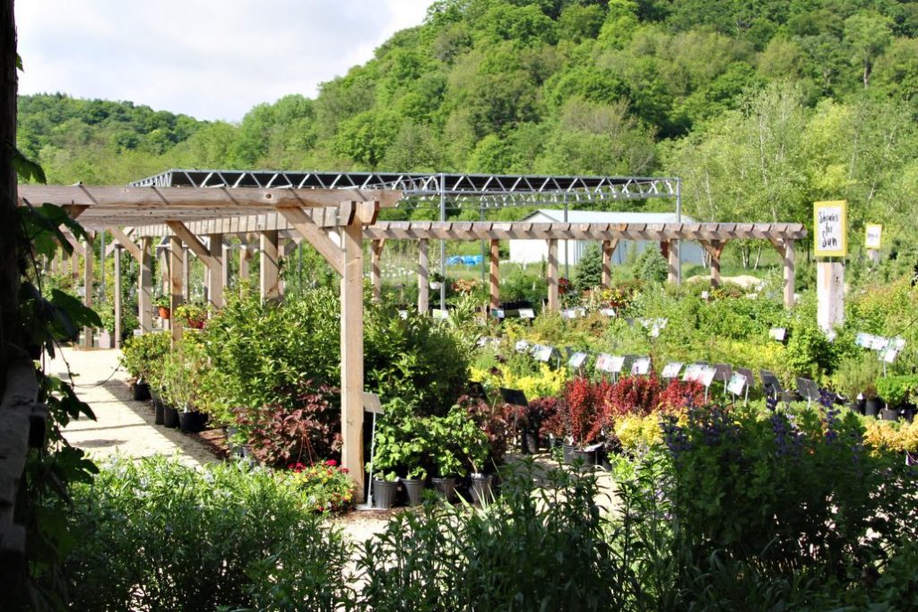 4 Wisconsin Greenhouses to Visit This Spring Discover Wisconsin